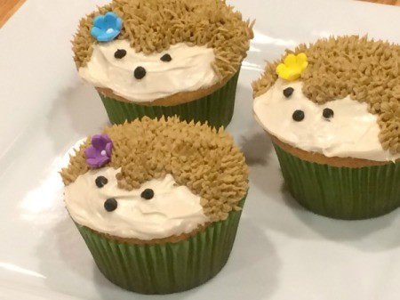 Hedgehog Cupcakes