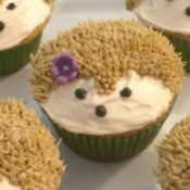 Hedgehog Cupcakes