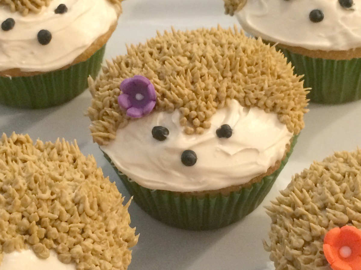 Hedgehog Cupcakes | ThriftyFun