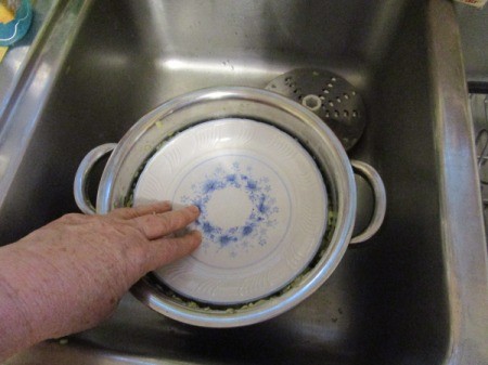 Zucchini/Squash Pancakes