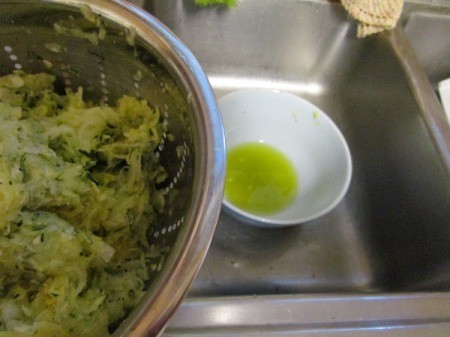 Zucchini/Squash Pancakes