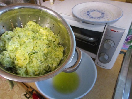 Zucchini/Squash Pancakes
