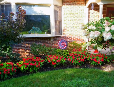 red impatiens in front of house