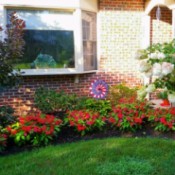 red impatiens in front of house