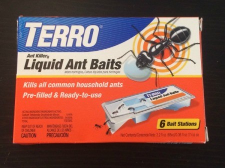 Using Terro Ant Bait