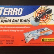 Using Terro Ant Bait