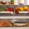 Interior of a refrigerator with a fish inside