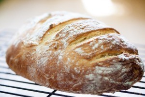 Amish Friendship Bread