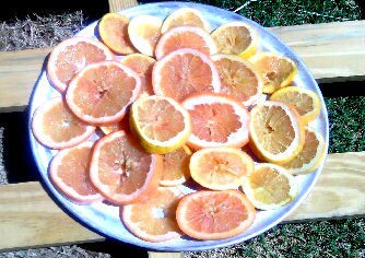 Grapefruit Potpourri