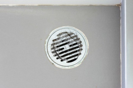 Shower drain with hair