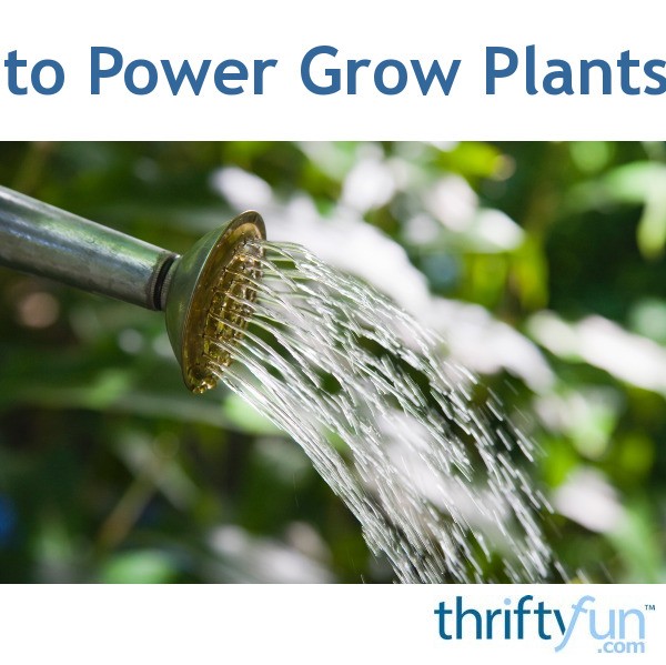 Use Ammonia to Power Grow Plants like Grandma ThriftyFun