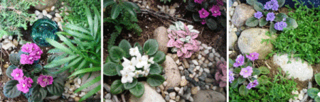 Terrarium624x200.gif