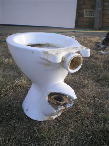 Dirty Toilet