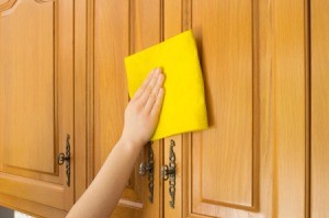 Cleaning Cabinets with Zout