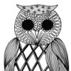 Who-hoo Goes There - Adult Coloring Page