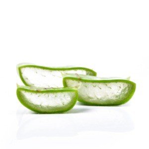 Aloe Vera Slices