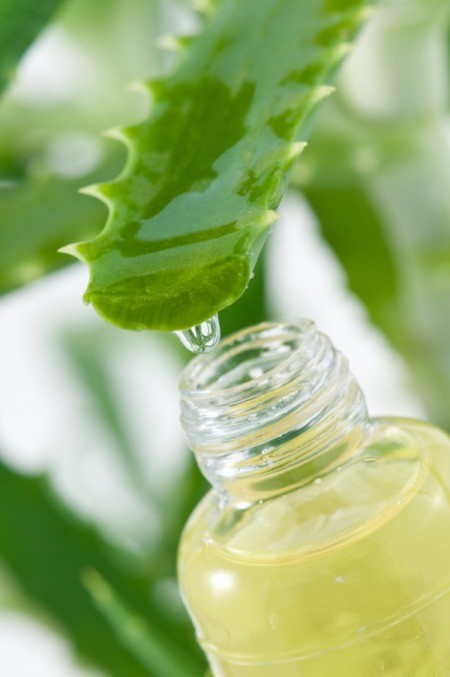 Aloe Gel