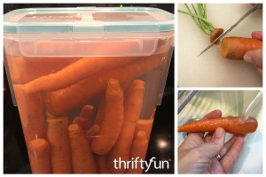 Storing Fresh Carrots