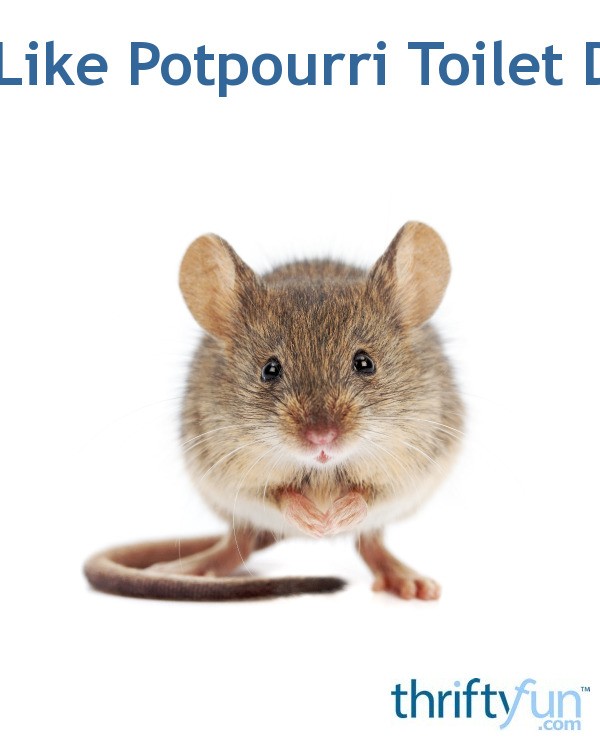 Mice Don't Like Potpourri Toilet Deodorizers ThriftyFun