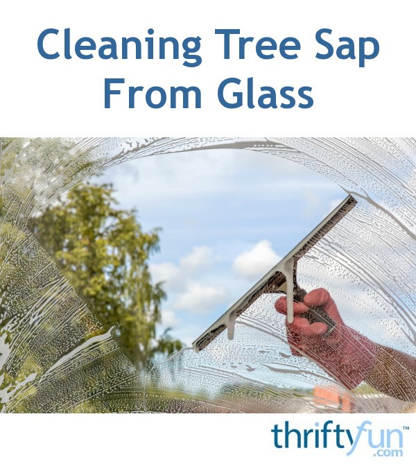 Cleaning Tree Sap From Glass ThriftyFun