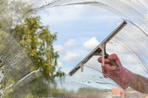 Hand squeegying cleaner from a glass window by a tree