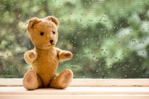 Old stuffed bear sitting in front of a rainy window