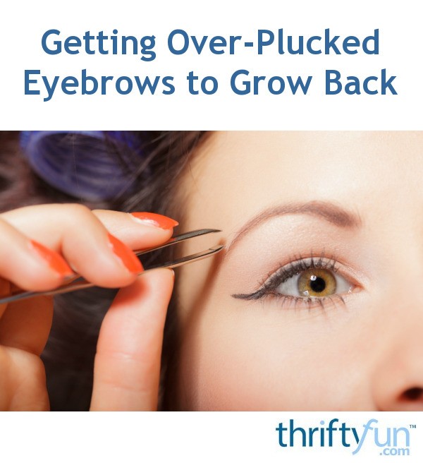 Getting OverPlucked Eyebrows to Grow Back ThriftyFun