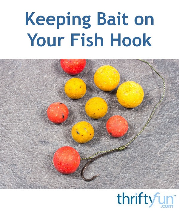 Albums 100+ Images how to hook a goldfish for bait Excellent