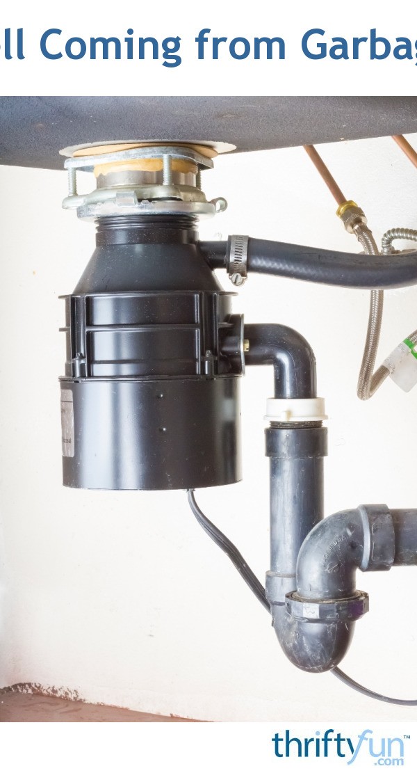 Sewer Smell Coming from a Garbage Disposal? ThriftyFun