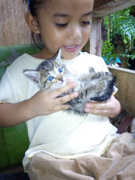 little girl holding a kitten