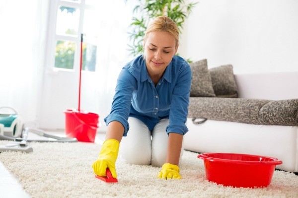 Cleaning Suggestions - Maintaining Our Houses In A GOOD Condition 1