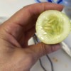 Saving Cucumber Seeds
