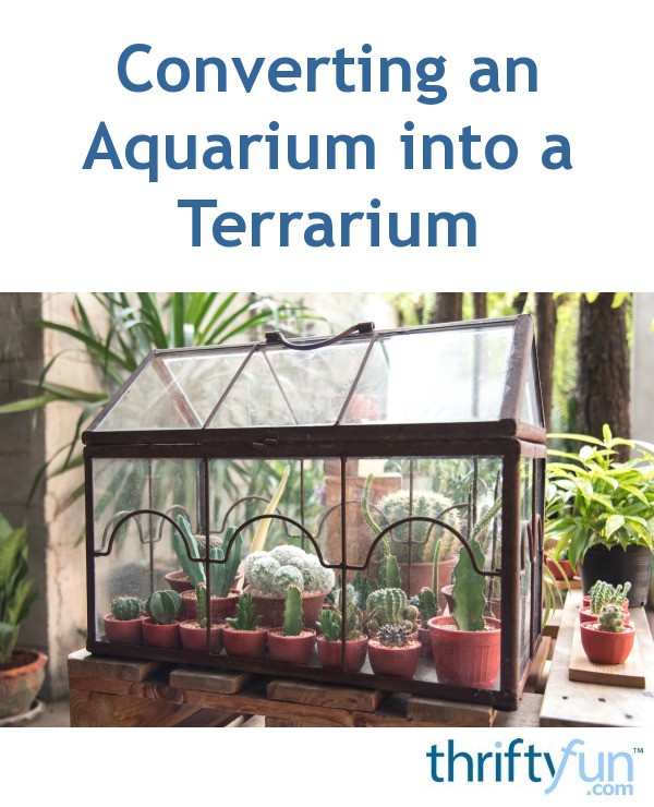 Converting an Aquarium into a Terrarium ThriftyFun
