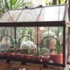 Rectangular Cactus Terrarium