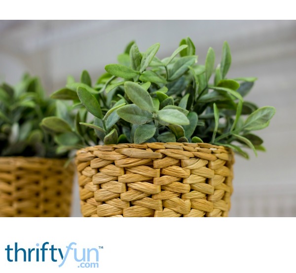 Removing Smoke Odor from Artificial Plants? ThriftyFun