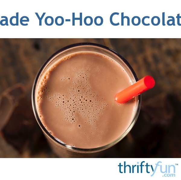 Homemade YooHoo Chocolate Drink ThriftyFun