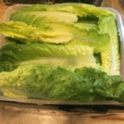 Cleaning and Storing Romaine Hearts