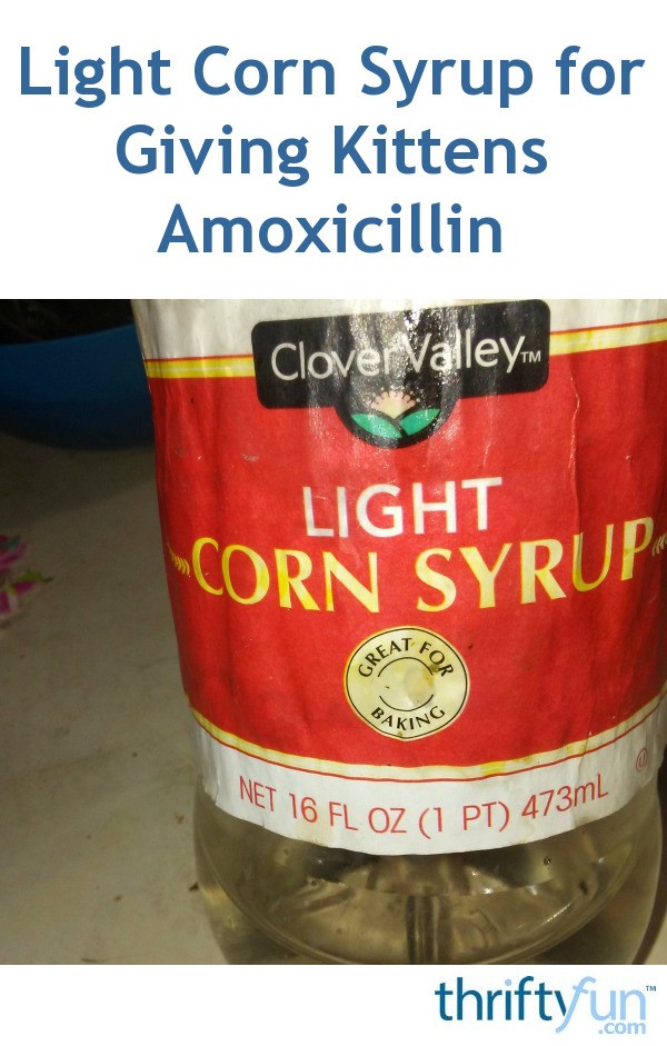 Light Corn Syrup for Giving Kittens Amoxicillin ThriftyFun