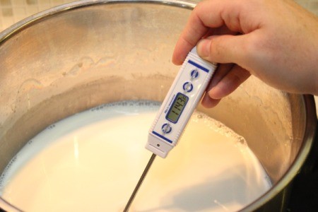 Homemade Greek Yogurt