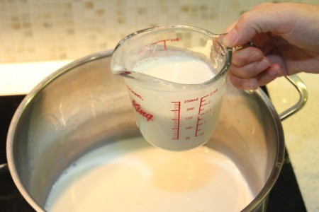 Homemade Greek Yogurt