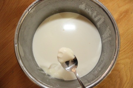 Homemade Greek Yogurt