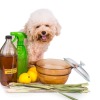 Small white dog seated, surrounded by apple cider vinegar, lemongrass, lemons, etc.