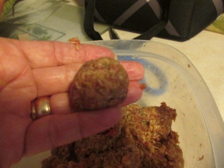 Quick Fresh Meatballs