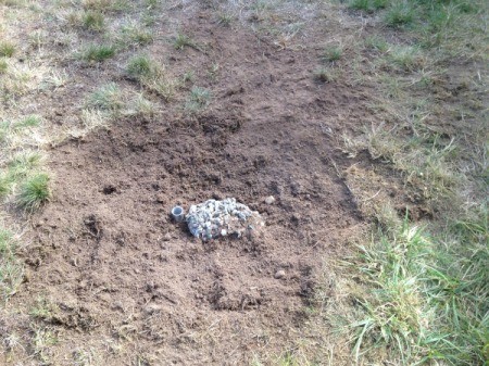 Installing a Breezecatcher Rotary Clothesline