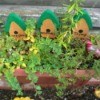 herbs in planter with cute birdhouse decorations