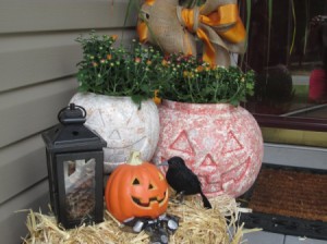display with potted plants inside the pumpkins and other decorations