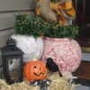 display with potted plants inside the pumpkins and other decorations