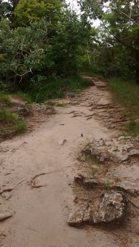 BackBone State Park Trail (Iowa)