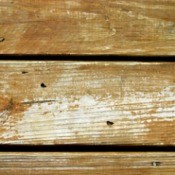 Close up of wood deck with holes