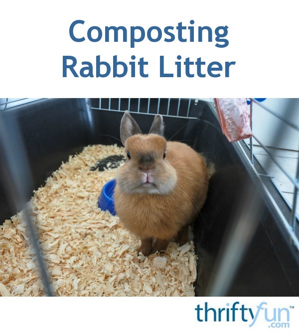 Composting Rabbit Litter ThriftyFun